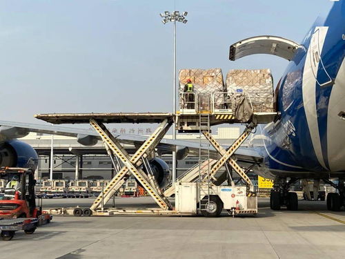 打通义乌-郑州市场采购贸易物流链，小商品搭机速达海外