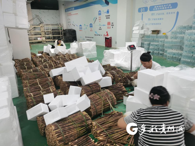 雷山节点仓助力雷山八月笋闯出产业“致富”路